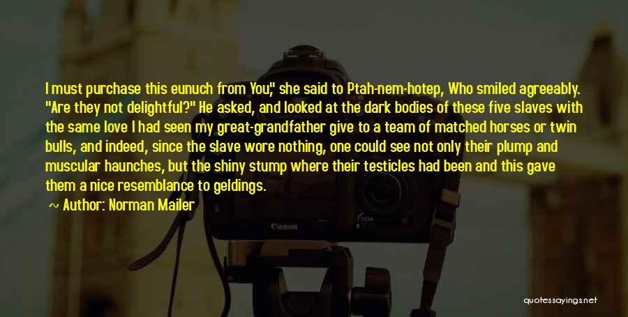 Eunuch Quotes By Norman Mailer