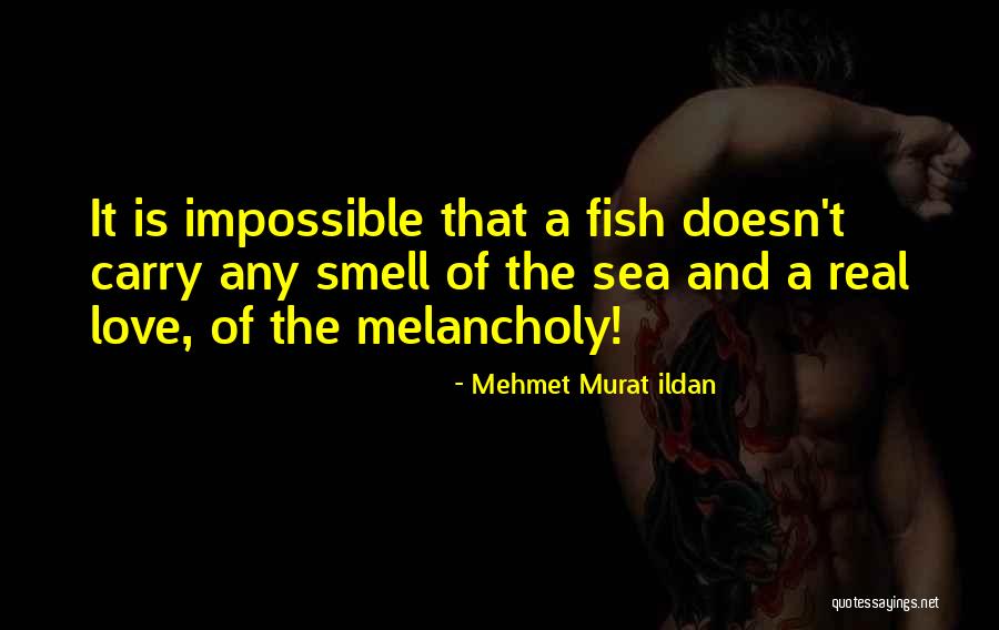 Euphemism English Quotes By Mehmet Murat Ildan Euphemism English Quotes By Mehmet Murat Ildan