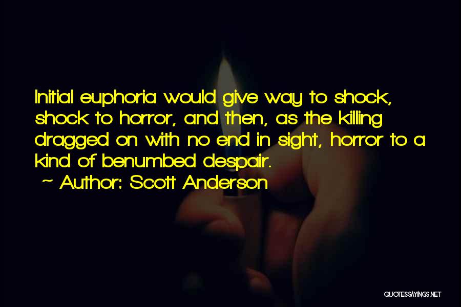 Euphoria Quotes By Scott Anderson