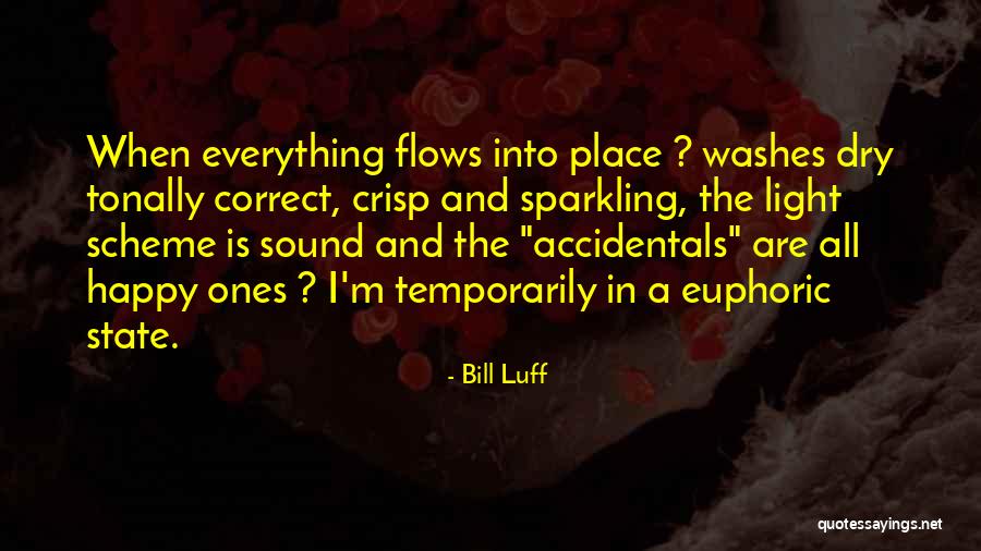 Euphoric Quotes By Bill Luff