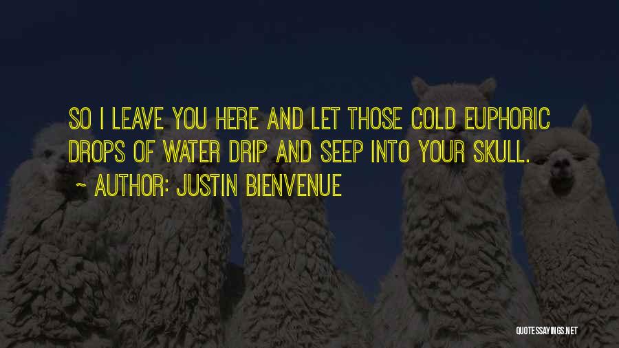 Euphoric Quotes By Justin Bienvenue