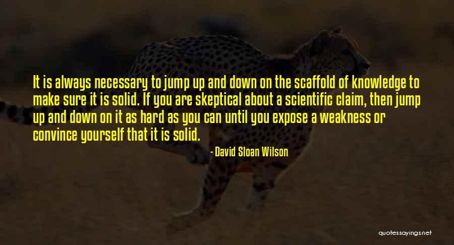 Euphyllia Yaeyamaensis Quotes By David Sloan Wilson Euphyllia Yaeyamaensis Quotes By David Sloan Wilson