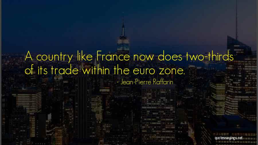 Euro Quotes By Jean-Pierre Raffarin