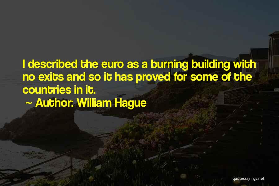 Euro Quotes By William Hague