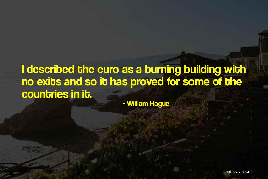 Euro Quotes By William Hague