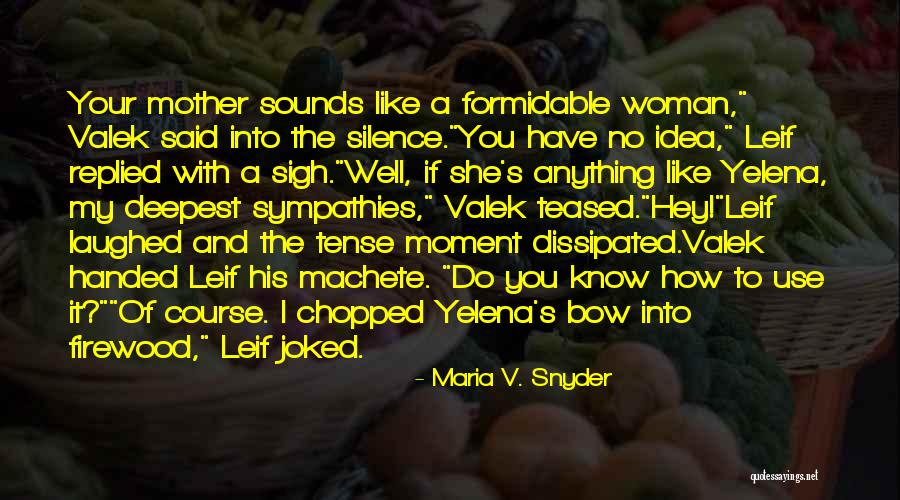 Eurogroup Meeting Quotes By Maria V. Snyder