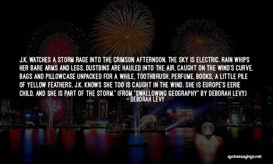 Europe From The Air Quotes By Deborah Levy Europe From The Air Quotes By Deborah Levy