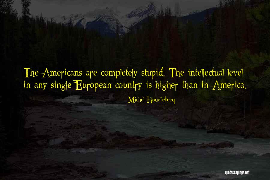 European Quotes By Michel Houellebecq European Quotes By Michel Houellebecq