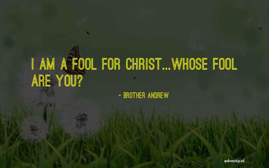 European Starlings Quotes By Brother Andrew European Starlings Quotes By Brother Andrew