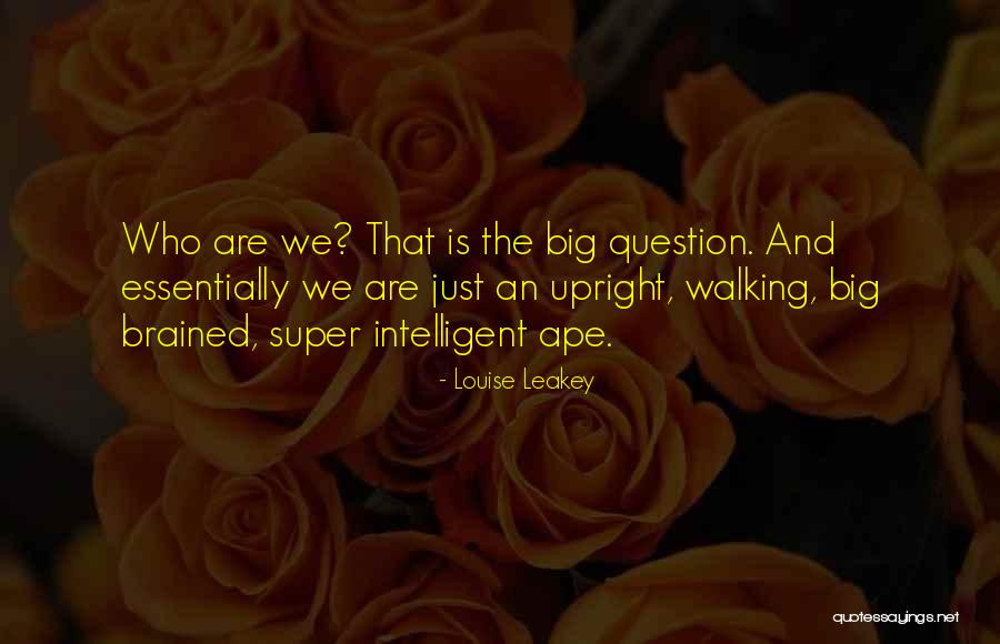 Europio Usos Quotes By Louise Leakey Europio Usos Quotes By Louise Leakey