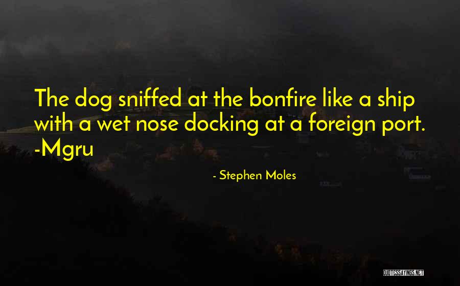 Eurovision Elves Quotes By Stephen Moles Eurovision Elves Quotes By Stephen Moles