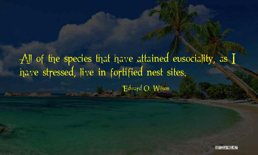 Eusociality Species Quotes By Edward O. Wilson Eusociality Species Quotes By Edward O. Wilson