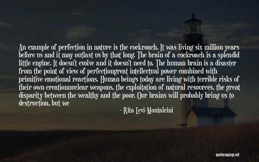 Eusociality Species Quotes By Rita Levi-Montalcini Eusociality Species Quotes By Rita Levi-Montalcini