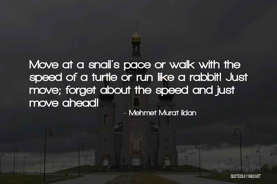 Euthanasia Catholic Quotes By Mehmet Murat Ildan Euthanasia Catholic Quotes By Mehmet Murat Ildan