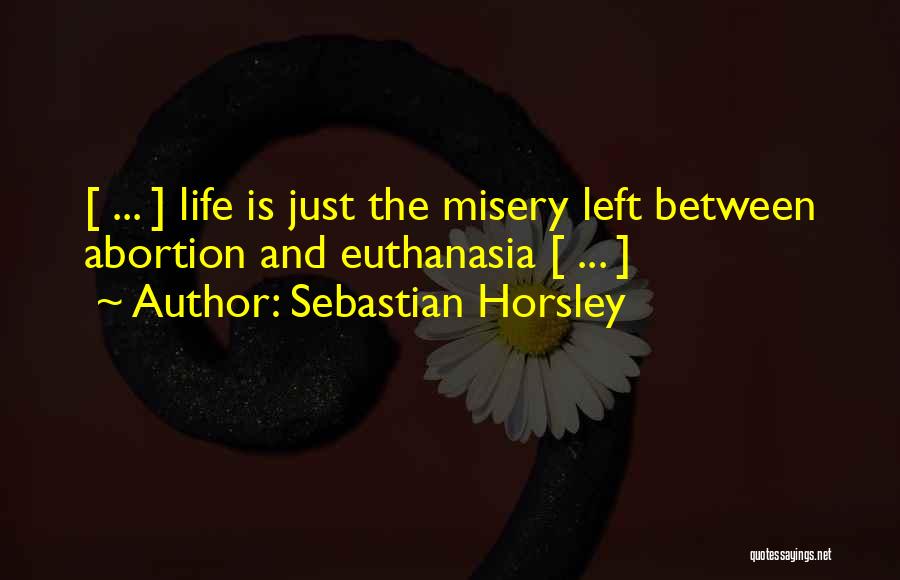 Euthanasia Quotes By Sebastian Horsley