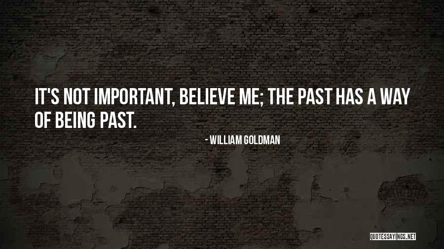 Euthanized Pets Quotes By William Goldman Euthanized Pets Quotes By William Goldman