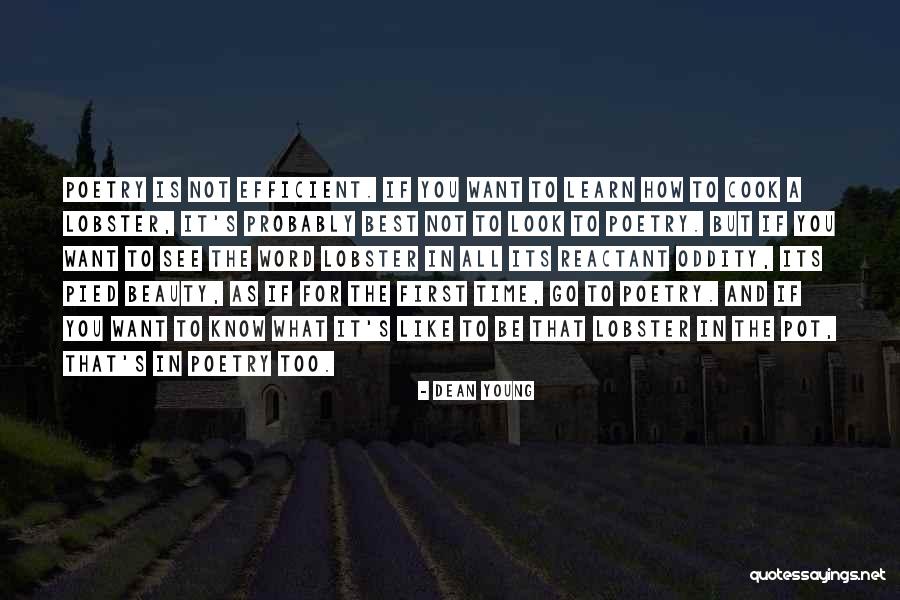 Euweb Quotes By Dean Young Euweb Quotes By Dean Young