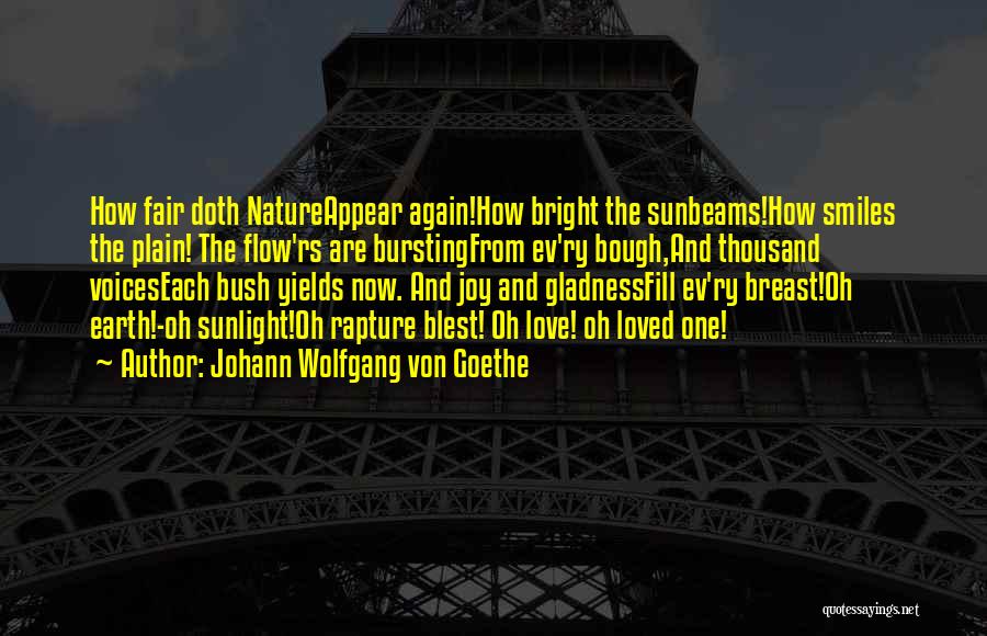 Ev-9d9 Quotes By Johann Wolfgang Von Goethe