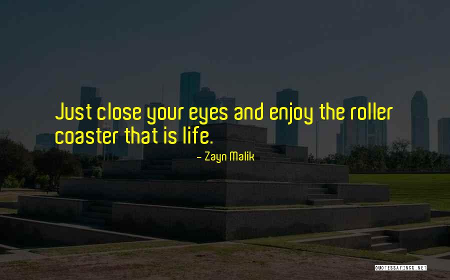 Eva Johansen Quotes By Zayn Malik