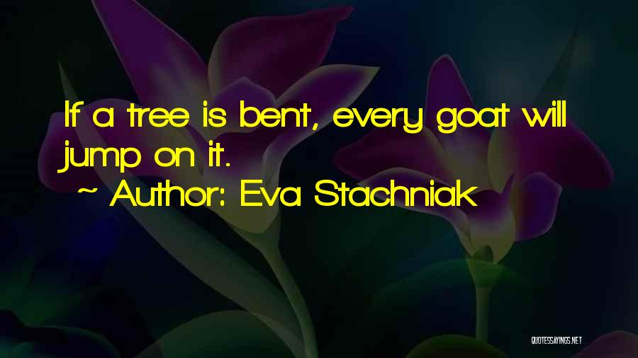 Eva Stachniak Quotes 963639