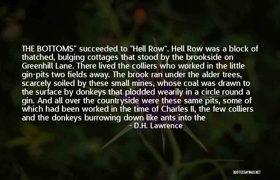 Evacuation Route Quotes By D.H. Lawrence Evacuation Route Quotes By D.H. Lawrence
