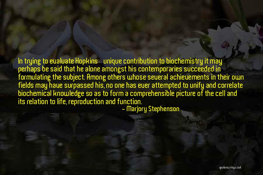 Evaluate Your Life Quotes By Marjory Stephenson Evaluate Your Life Quotes By Marjory Stephenson