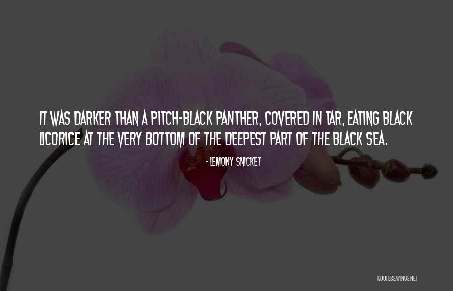 Evaluators Resource Quotes By Lemony Snicket Evaluators Resource Quotes By Lemony Snicket