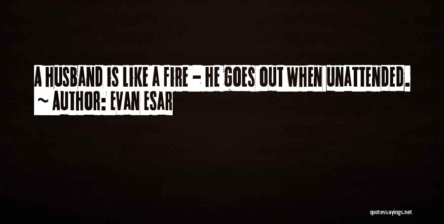 Evan Esar Quotes 1355036