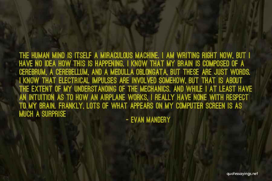 Evan Mandery Quotes 2097603