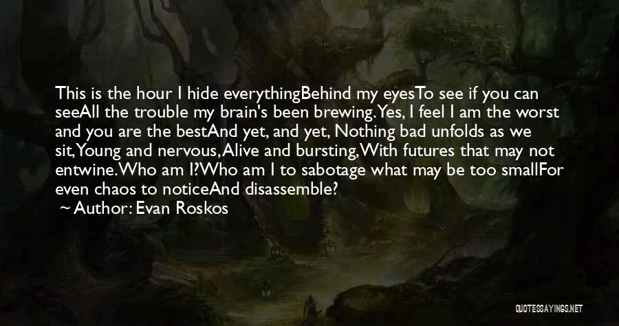 Evan Roskos Quotes 272432