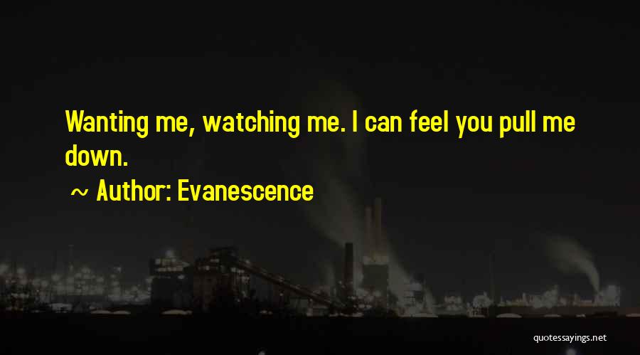 Evanescence Quotes 2174657