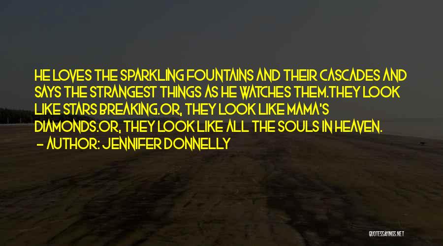 Evangeline A.k. Mcdowell Quotes By Jennifer Donnelly
