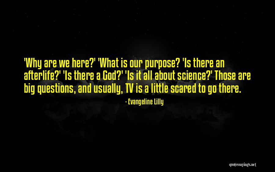Evangeline Lilly Quotes 2258837 Evangeline Lilly Quotes 2258837