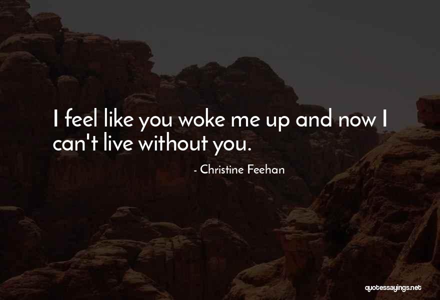 Evangeline St. Clare Quotes By Christine Feehan Evangeline St. Clare Quotes By Christine Feehan