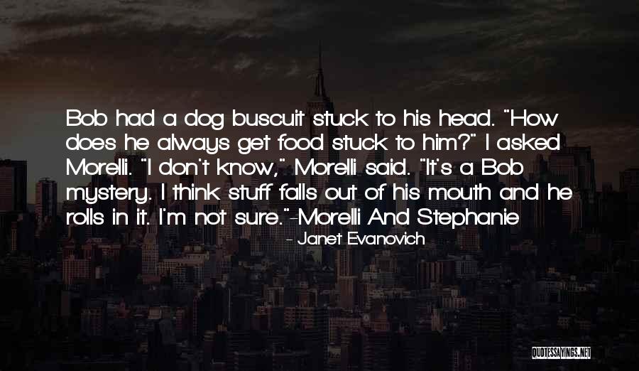 Evanovich Stephanie Quotes By Janet Evanovich Evanovich Stephanie Quotes By Janet Evanovich
