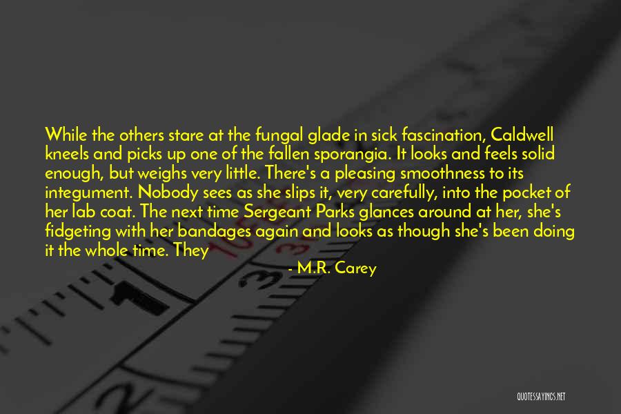 Evaporated Milk Quotes By M.R. Carey