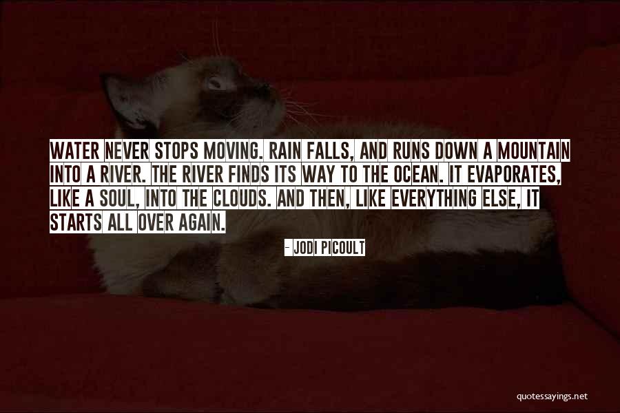 Evaporates Water Quotes By Jodi Picoult Evaporates Water Quotes By Jodi Picoult