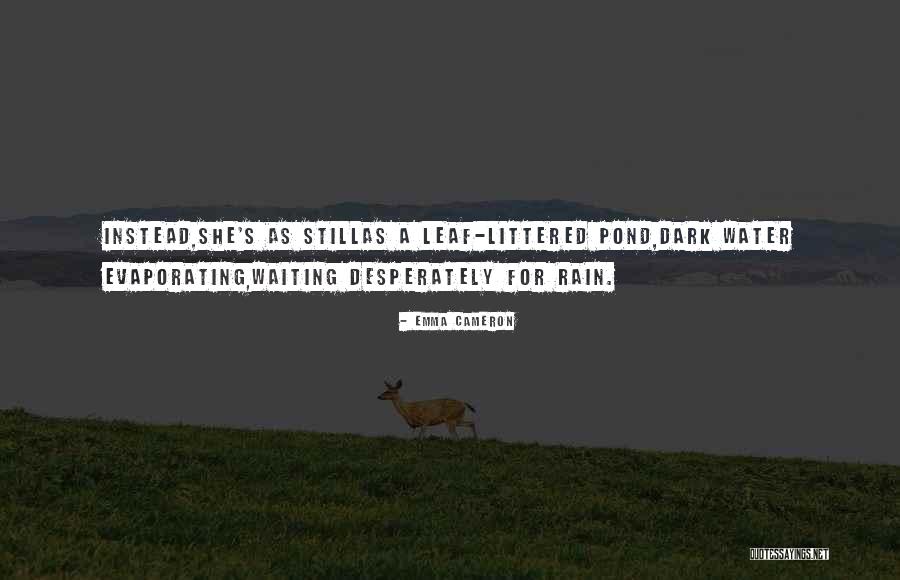 Evaporating Water Quotes By Emma Cameron Evaporating Water Quotes By Emma Cameron