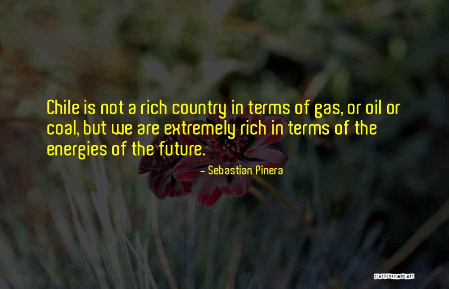 Evasion Book Quotes By Sebastian Pinera Evasion Book Quotes By Sebastian Pinera