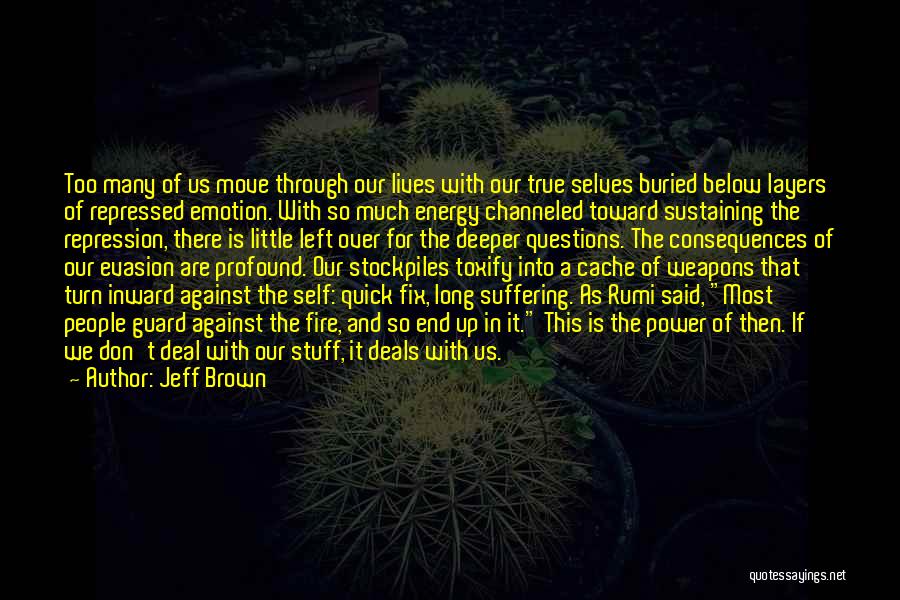 Evasion Quotes By Jeff Brown