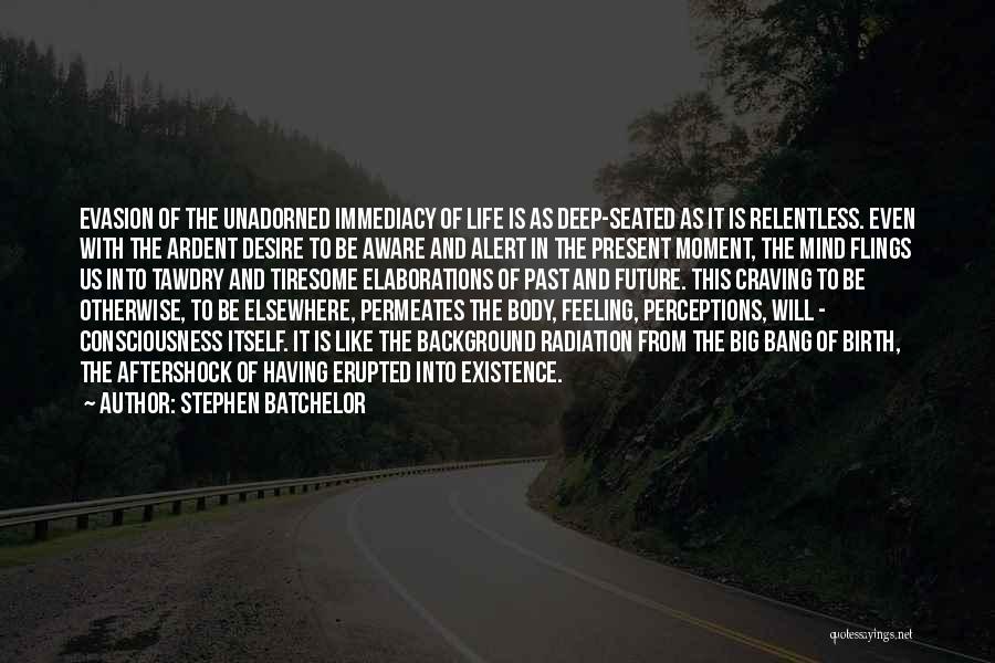 Evasion Quotes By Stephen Batchelor