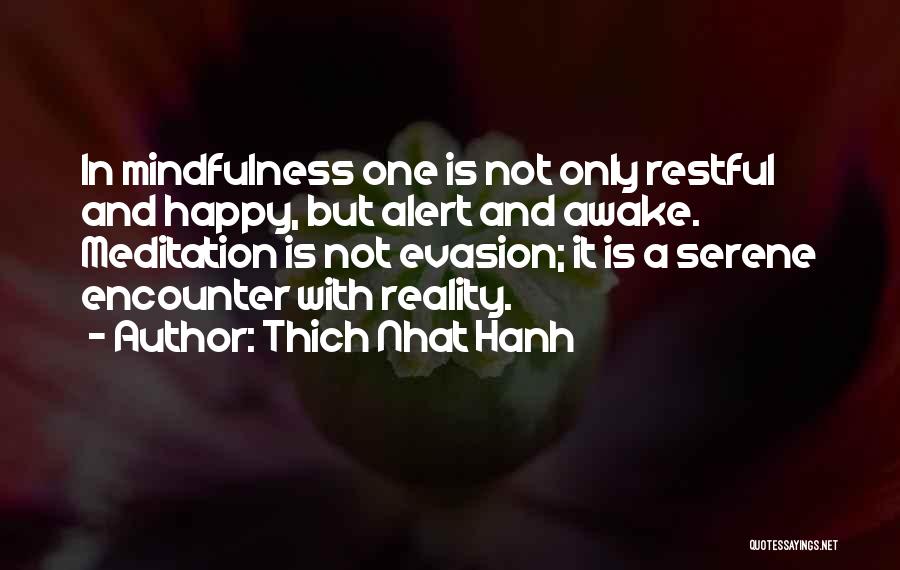 Evasion Quotes By Thich Nhat Hanh