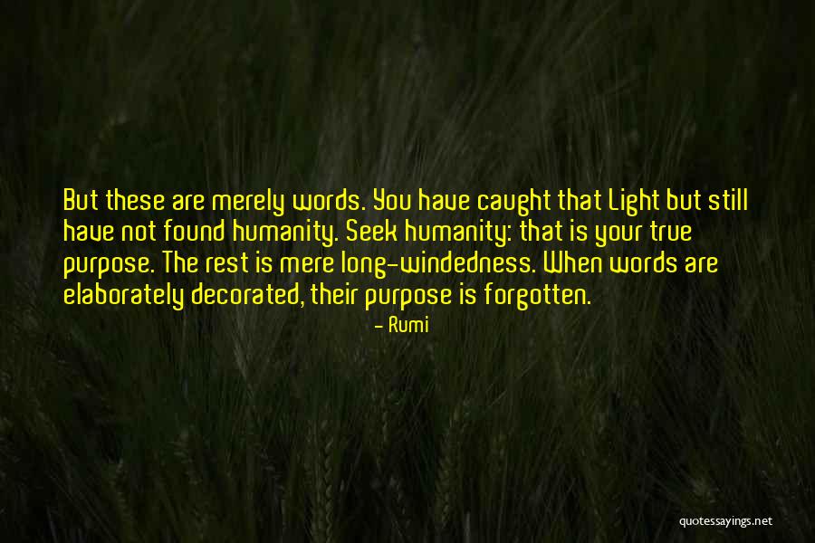 Evdokias Clarinet Quotes By Rumi Evdokias Clarinet Quotes By Rumi