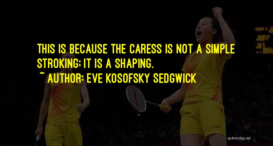 Eve Kosofsky Sedgwick Quotes 218876