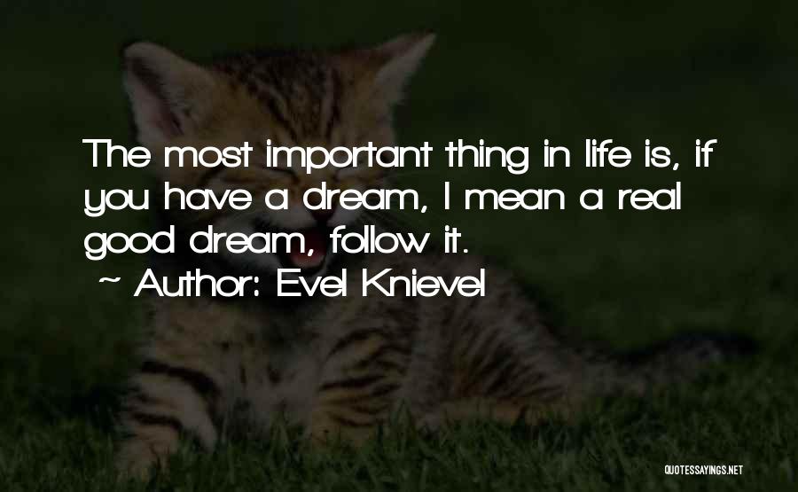 Evel Knievel Quotes 1007280