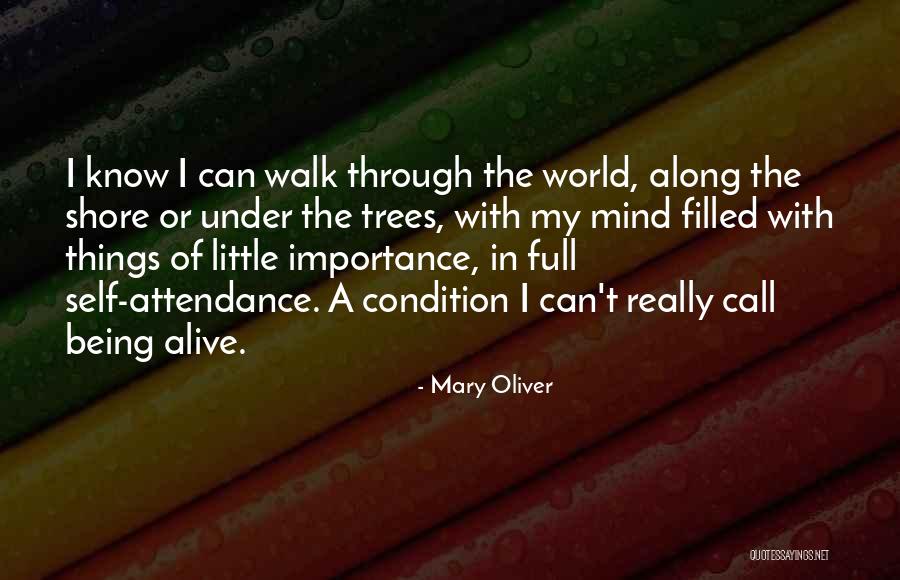 Evelien And Sean Quotes By Mary Oliver Evelien And Sean Quotes By Mary Oliver
