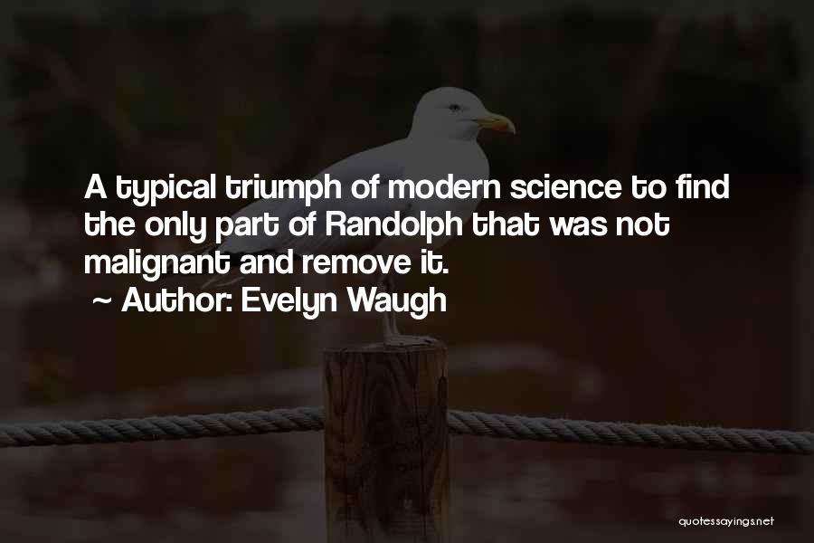 Evelyn Waugh Quotes 1676806