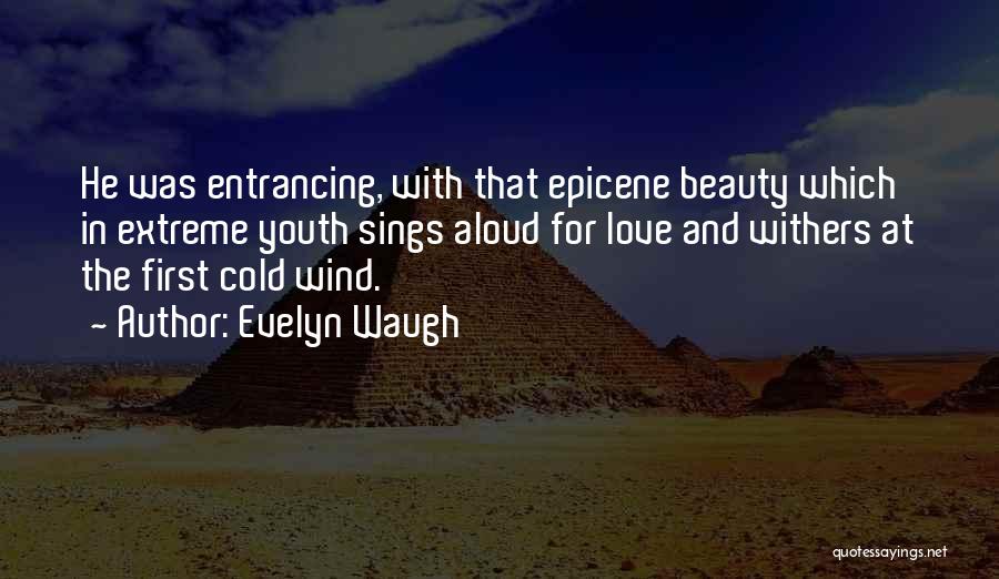 Evelyn Waugh Quotes 317644