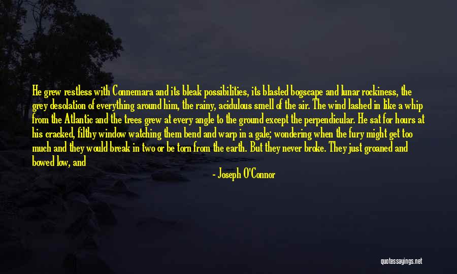 Even After The Storm Quotes By Joseph O'Connor Even After The Storm Quotes By Joseph O'Connor