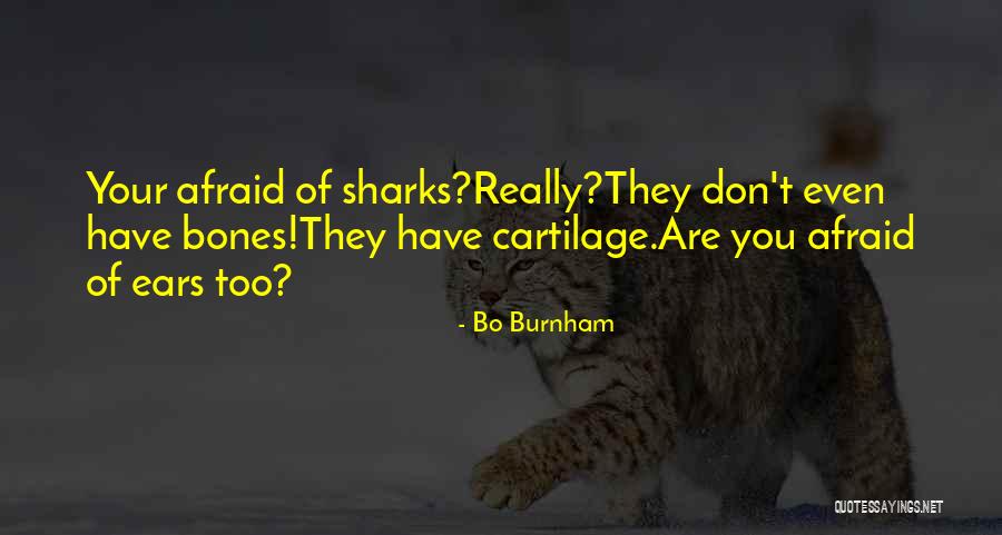 Even Are Quotes By Bo Burnham Even Are Quotes By Bo Burnham